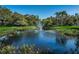 Pond view with a fountain, showcasing the serene water feature surrounded by trees and green space on a clear day at 5265 E Bay Dr # 521, Clearwater, FL 33764