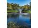 Pond with a fountain, offering a tranquil water feature amid natural surroundings and enhancing the community's beauty at 5265 E Bay Dr # 521, Clearwater, FL 33764