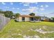 Spacious backyard with a lush lawn and mature trees surrounding the property for privacy and enjoyment at 855 Pinewood W Ter, Palm Harbor, FL 34683