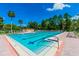 A picturesque pool featuring marked lanes, a shallow end, and seating, all set against a backdrop of lush trees and blue skies at 855 Pinewood W Ter, Palm Harbor, FL 34683