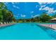 A large, inviting community swimming pool under a sunny sky, complete with lounge chairs and a nearby pavilion at 855 Pinewood W Ter, Palm Harbor, FL 34683