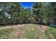 Lush backyard featuring a grass area, complemented by mature tropical foliage and privacy fencing at 112 Peterson Ln, Palm Harbor, FL 34683