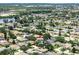 An aerial shot features a cozy neighborhood with lush trees, manicured lawns, and a serene lake nearby at 1291 Blackrush Dr, Tarpon Springs, FL 34689