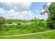 Backyard view showcasing the lush greenery and picturesque lake, providing a serene retreat at 1674 Roseville St, Lutz, FL 33549