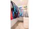 Well-organized walk-in closet with ample hanging and storage space at 1674 Roseville St, Lutz, FL 33549
