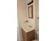 Bathroom sink and mirror with wood-look cabinets at 3131 Melton N St, St Petersburg, FL 33704