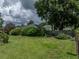 Sprawling backyard featuring a privacy fence and mature trees, offering a serene outdoor space at 37821 Willingham Ave, Dade City, FL 33525