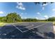 Outdoor basketball court with well-maintained surface and clear markings, set in a green landscape at 5927 Flatwoods Manor Cir, Lithia, FL 33547