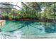 Sparkling enclosed pool with tropical landscaping and plenty of room for swimming at 5927 Flatwoods Manor Cir, Lithia, FL 33547