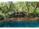 Stunning pool featuring a rock waterfall and lush tropical landscaping at 5927 Flatwoods Manor Cir, Lithia, FL 33547
