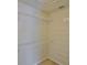 Walk-in closet with wire shelving and trim to add wall mounted storage at 10132 Post Harvest Dr, Riverview, FL 33578