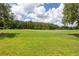 Scenic view of the golf course with a green lawn and trees at 10559 Coral Key Ave, Tampa, FL 33647
