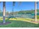 Tennis courts with green fence and well-maintained green surface under a bright blue sky at 10559 Coral Key Ave, Tampa, FL 33647