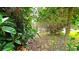 Backyard view with lush greenery, foliage, and the hint of a screened enclosure in the distance at 13 Windrush Bay Dr, Tarpon Springs, FL 34689