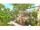 Inviting screened patio features seating areas, tropical landscaping and comfortable spots for outdoor lounging at 13 Windrush Bay Dr, Tarpon Springs, FL 34689