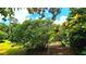 View of backyard featuring trees, foliage, and a glimpse of a green lawn at 13 Windrush Bay Dr, Tarpon Springs, FL 34689