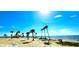 Scenic beach view featuring palm trees, clear blue water, and a sunny sky perfect for relaxation at 13 Windrush Bay Dr, Tarpon Springs, FL 34689