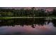 Calm pond surrounded by dense trees reflecting in the still water at 1303 Forestedge Blvd, Oldsmar, FL 34677