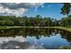 Scenic view of pond surrounded by lush green trees and grass at 1303 Forestedge Blvd, Oldsmar, FL 34677