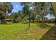 Large backyard with lush green grass and mature trees at 1309 11Th W Ave, Palmetto, FL 34221