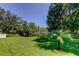 Picturesque backyard featuring a serene pond view, lush greenery, and a mature palm tree at 14427 Pepperpine Dr, Tampa, FL 33626