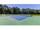 Well-maintained tennis courts with lush green surroundings, perfect for recreational play and exercise at 14427 Pepperpine Dr, Tampa, FL 33626