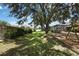 Expansive backyard with lush green lawn, playground, and a screened-in pool at 22431 Panther Run Ct, Land O Lakes, FL 34639