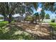 Backyard with a wooden playset, swings, and a jungle gym for recreation at 22431 Panther Run Ct, Land O Lakes, FL 34639