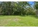 Lush green backyard, perfect for outdoor activities and enjoying nature at 2544 Rosehaven Dr, Wesley Chapel, FL 33544