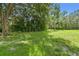 Lush backyard featuring mature trees and green grass offers a serene outdoor space at 2544 Rosehaven Dr, Wesley Chapel, FL 33544