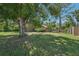Spacious backyard with a large tree for shade at 2896 Grand Cayman St, Sarasota, FL 34231