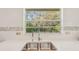 Kitchen sink area showcasing stone countertops, a double basin sink, and a window view of lush greenery at 2896 Grand Cayman St, Sarasota, FL 34231