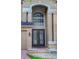 Close up of the home's entrance showcasing the grand glass-paneled double doors at 29916 Cedar Waxwing Dr, Wesley Chapel, FL 33545