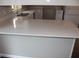 Kitchen island with light countertops and a stainless steel sink at 38668 Ferm Cir, Zephyrhills, FL 33540