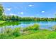 Lawn of the home's backyard leading up to a lake with foliage and trees at 4008 Moreland Dr, Valrico, FL 33596