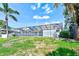 View of the home's backyard and screened-in porch, with palm trees and green foliage at 4008 Moreland Dr, Valrico, FL 33596