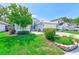 Landscaped front yard of home with green grass and plantings at 4008 Moreland Dr, Valrico, FL 33596