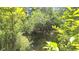 Scenic view of a pond surrounded by lush greenery, reflecting the serene and natural landscape at 5540 Cyril Dr, Dade City, FL 33523