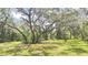 Expansive yard area with mature oak trees providing ample shade and a peaceful, natural setting at 5540 Cyril Dr, Dade City, FL 33523