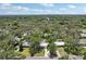 Panoramic aerial view of the neighborhood with lush greenery, tree canopy, and blue skies at 607 E River Dr, Temple Terrace, FL 33617