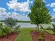 Serene view from the backyard overlooking the pond, enhancing the home's appeal and tranquility at 636 Olive Conch St, Ruskin, FL 33570