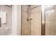 Shower with tile surround and updated fixtures at 7120 Forest Mere Dr, Riverview, FL 33578