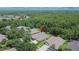 Aerial view of the house surrounded by lush trees, showcasing its location near a wooded preserve at 8704 Winsome Way, Land O Lakes, FL 34637
