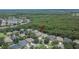Aerial view of a neighborhood with lush greenery, highlighting the property's location near a wooded area at 8704 Winsome Way, Land O Lakes, FL 34637