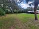 Expansive backyard featuring vibrant green grass and mature trees providing shade, on a bright, sunny day at 9910 Jerome Dr, New Port Richey, FL 34654