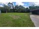 Large grassy backyard with scattered trees and partial fence on sunny day at 9910 Jerome Dr, New Port Richey, FL 34654