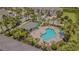 Aerial view of community pool, featuring lounge chairs, palm trees, and shaded seating area at 10830 Verawood Dr, Riverview, FL 33579