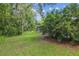 Lush backyard with mature trees, green grass, and a screened-in pool in the distance at 1402 E Mimosa Dr, Plant City, FL 33563