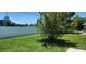Large backyard showing the privacy fence and grassy area with mature shade trees at 1583 Eunice Ln, Clearwater, FL 33756