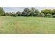 Expansive tee box with lush green fairway on a well-maintained golf course at 1827 Foxboro Ct, Oldsmar, FL 34677